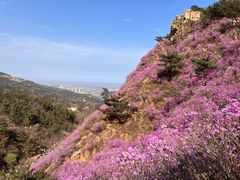 -青岛大珠山景区