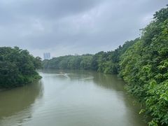 -海珠湖公园