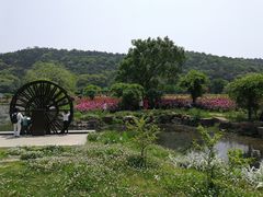 -龙寺生态园