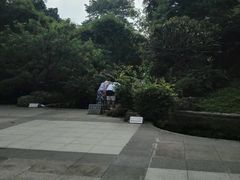 -晓港公园