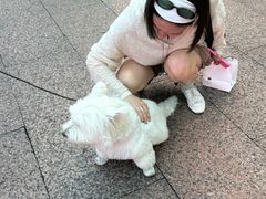 -观音桥步行街