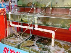 -天云活海鲜家菜馆·海鲜大咖(栈桥店)