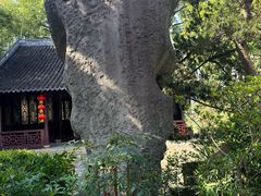 -汇龙潭