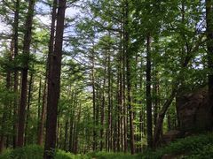 -崂山巨峰游览区