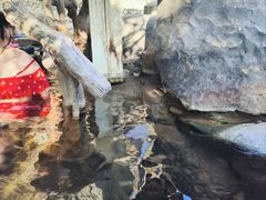 -天芳悦潭度假村温泉