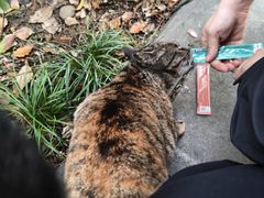 -浙江大学(玉泉校区)