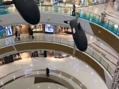 -上海颛桥万达广场