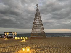 -海南清水湾莱佛士酒店