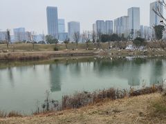 -桂溪生态公园