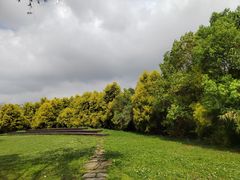 -白鹭湾湿地公园