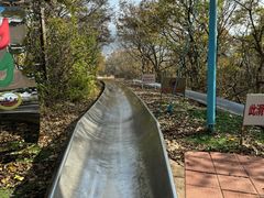 -富斯特索道