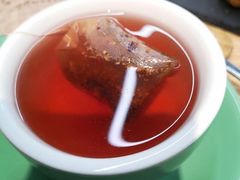 養生茶-VEGA VEGA 我行我素