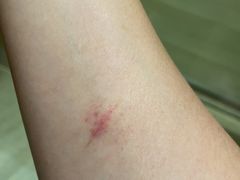 -将军关探险漂流