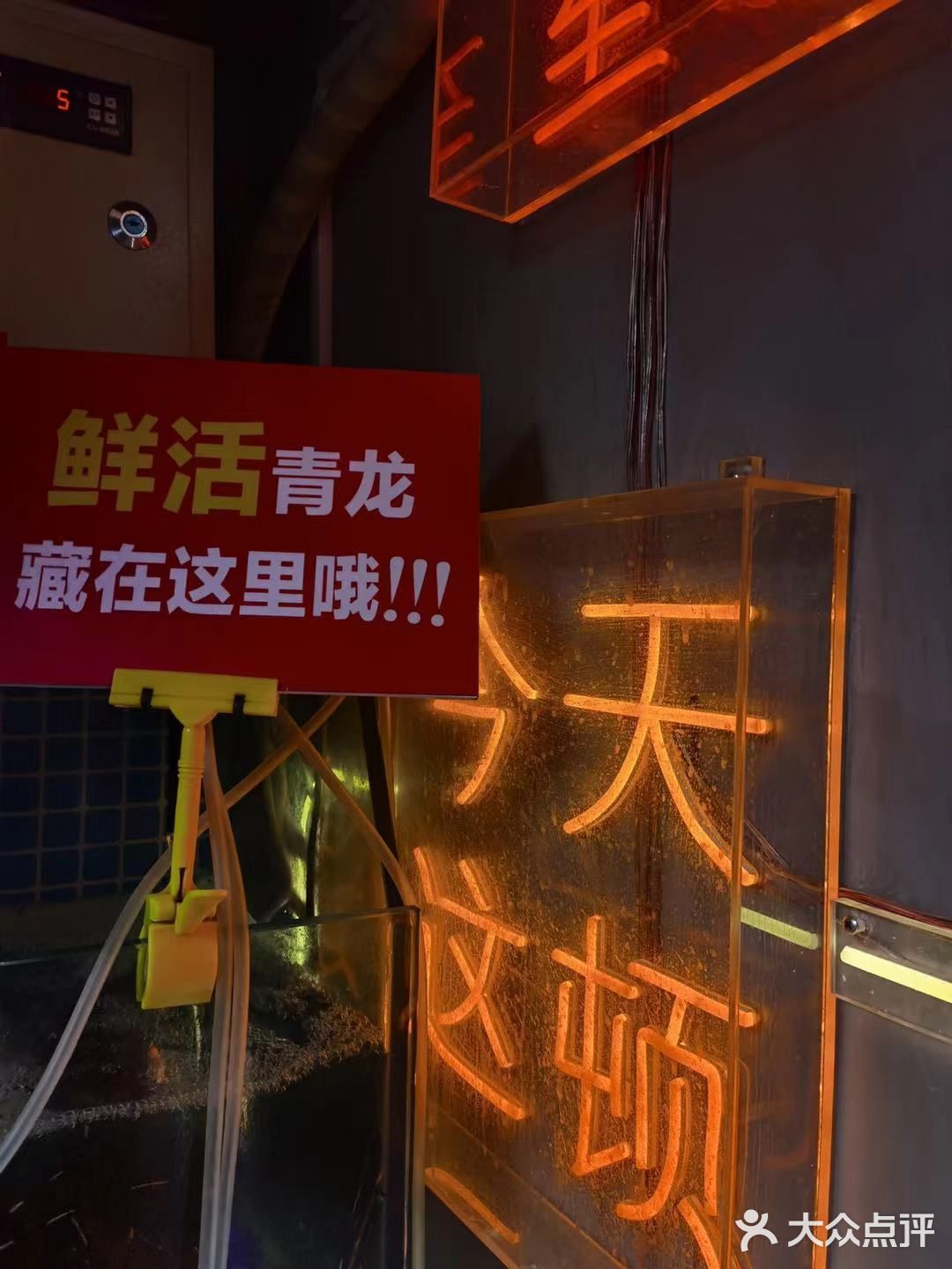 宁波鼓楼最好吃的面条 绝绝子