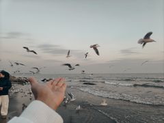 -老虎石海上公园