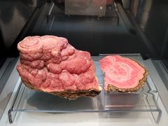 -安徽省地质博物馆