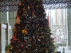 -北京希尔顿逸林酒店-逸轩西餐厅-自助餐厅