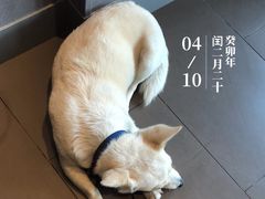 -星巴克(中远两湾城店)