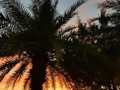 -惠州金海湾嘉华度假酒店