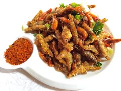-彭大姐老店黄辣丁(新津店)