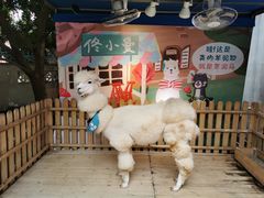 -佟小曼手工茶饼坊(鼓浪屿1店)