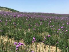 -雪浪山卡丁车俱乐部