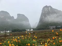 -明仕田园