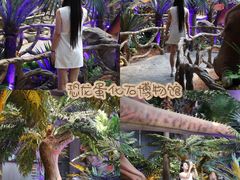 -中国西峡恐龙遗迹园