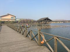 -溱湖国家湿地公园