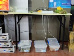 -真快乐APP体验中心(西坝河店)