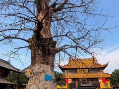 -圆通寺