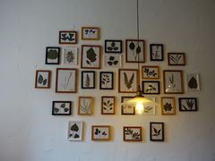 -MAISON门前杂货店