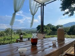 -午潮山国家森林公园