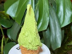 -野人先生Gelato(上海长宁龙之梦店)