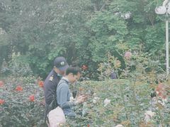 -人民公园(罗湖区)