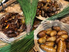 -昆虫窝子·特色云南菜(拓东路总店)