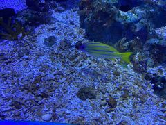 -海合安武汉极地海洋公园