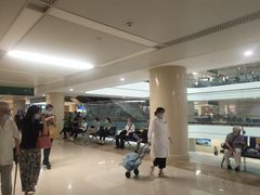 -中国人民解放军总医院(301医院)