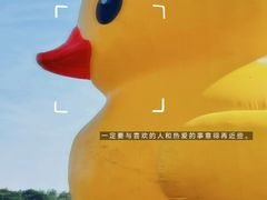 -深圳人才公园