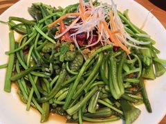 -菌自由丨野生菌火锅特色庭院餐厅(丽江古城店)