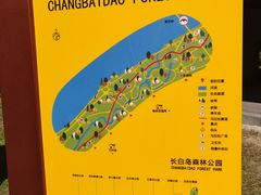 -长白岛森林公园