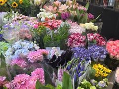 -双季花艺园艺市场(浦东店)