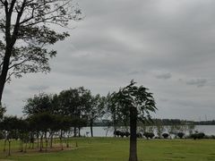 -漕湖湿地公园