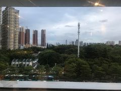 -百年果林椰子鸡(中洲店)