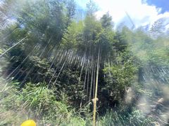 -千岛湖王子谷漂流