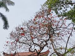 -晓港公园