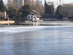 -团结湖公园