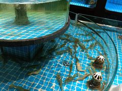 -梦都海鲜酒家(万达广场江桥店)