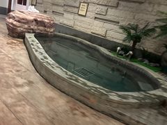 -天目湖涵田半山温泉