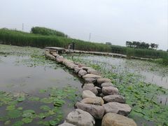 -宁波杭州湾国家湿地公园